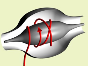 Isotope Ratio - The future: Orbitrap MS, image from Wikipedia