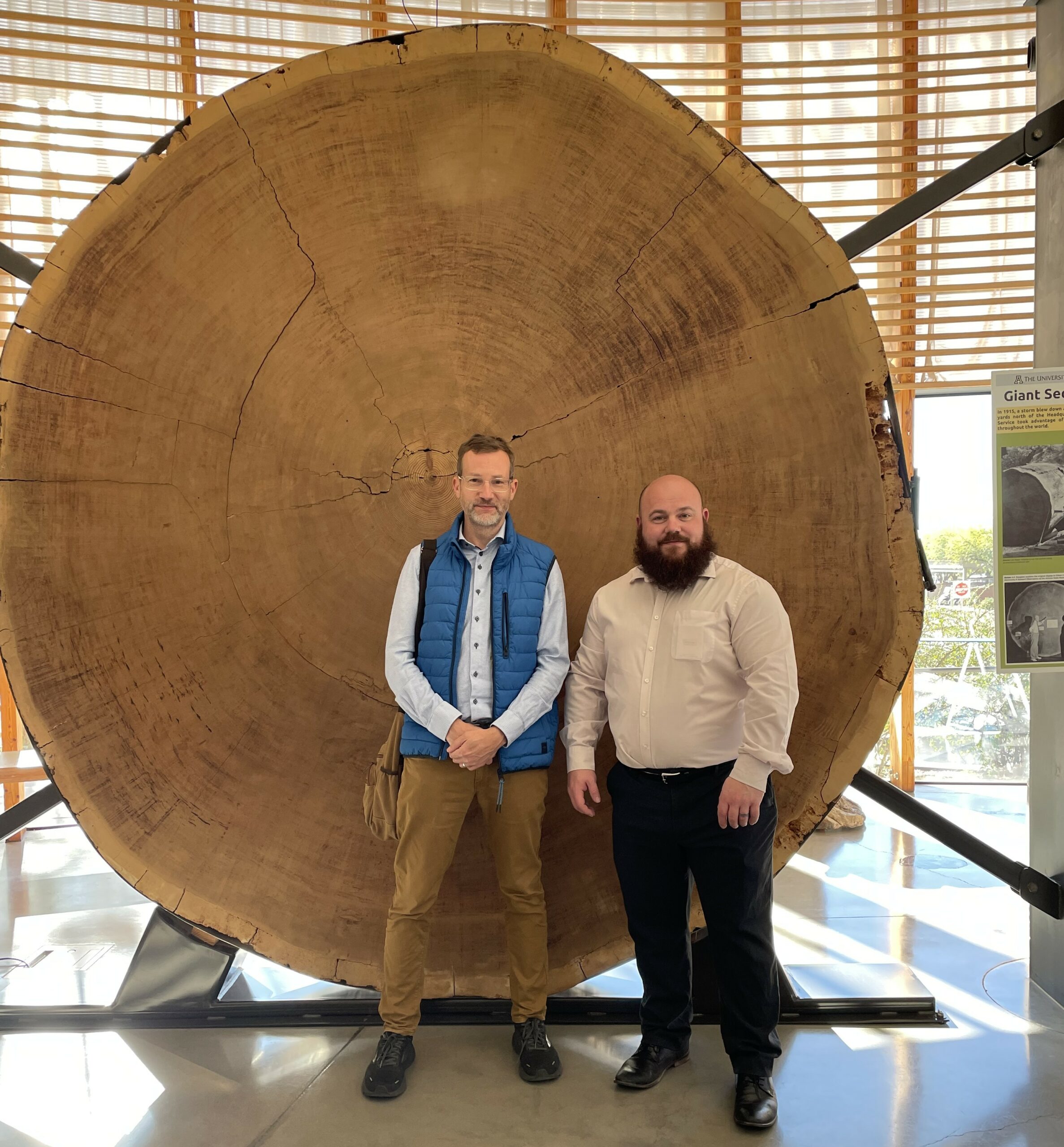 When LA-IRMS meets tree rings